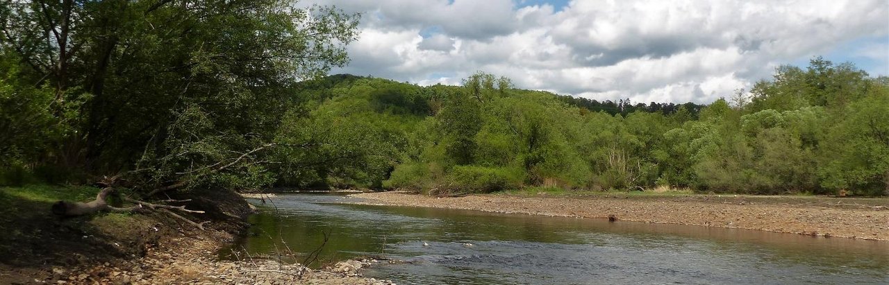 Freifließende natürliche Agger bei Ohl- Grünscheid  Foto: Friedrich Meyer